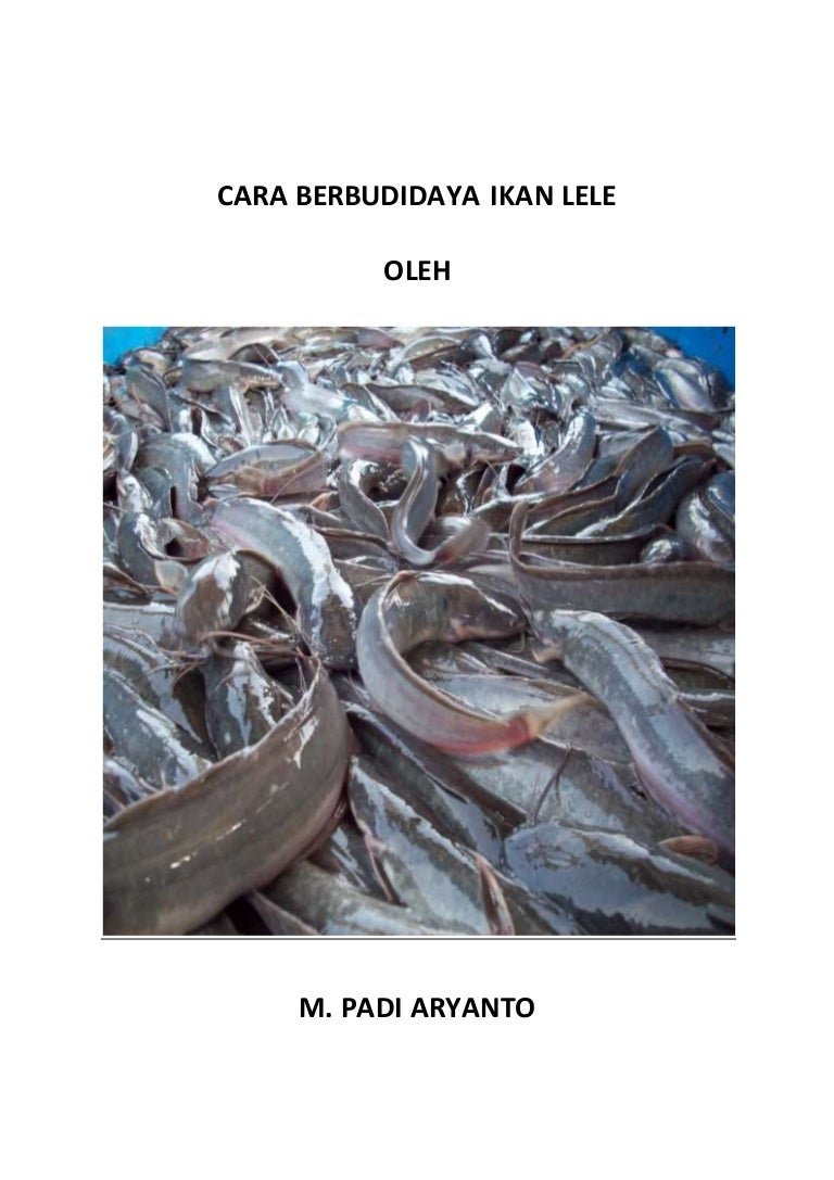 Materi budidaya ikan lele