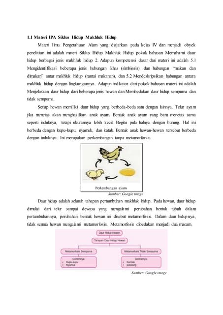 Kitaran hidup rama rama .slideshow | PPSX