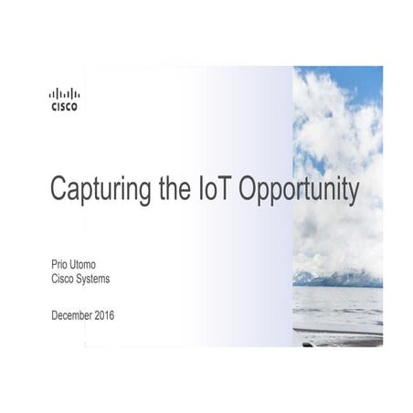 Capturing the IOT Opportunity