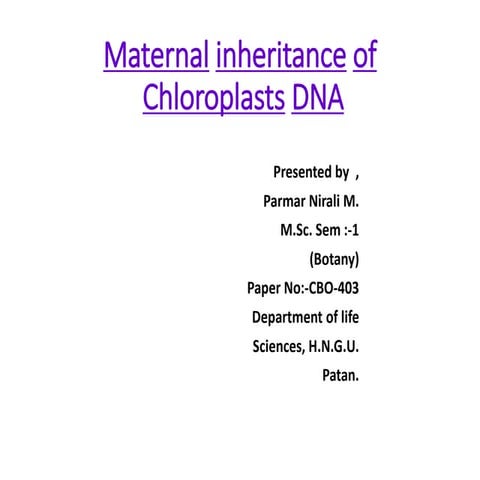 Maternal inheritance of chloroplasts dna