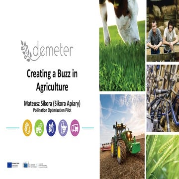 Creating a Buzz in Agriculture - Mateusz Sikora
