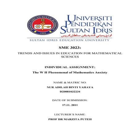 Mathematics Anxiety - Dila