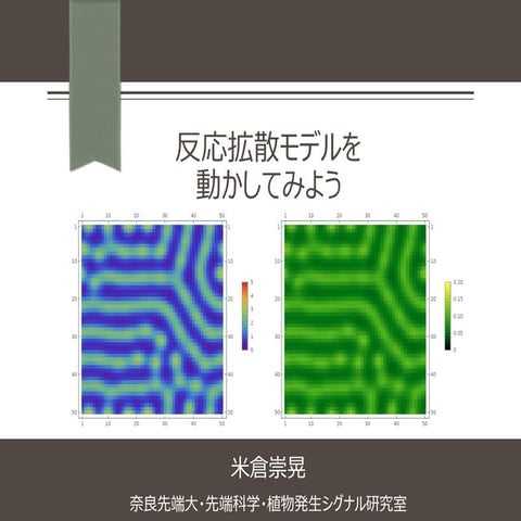 第４回数理モデル勉強会（日本植物学会第84回大会関連集会）