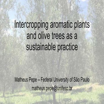 ISCN 2019 - Rapid Round