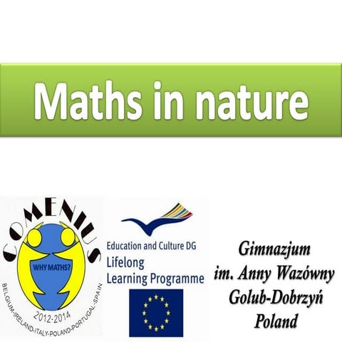 Maths and nature Comenius Why Maths