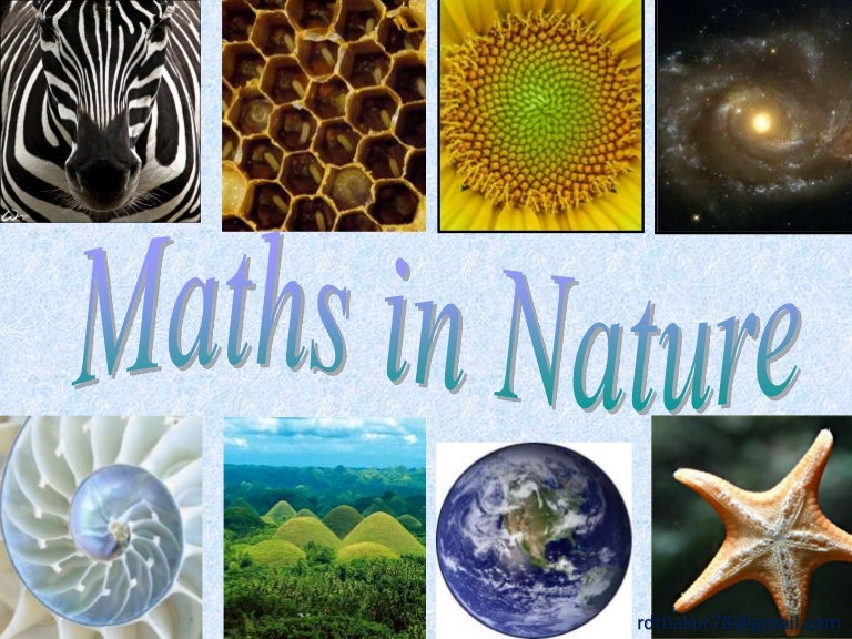 beauty of mathematics in nature essay