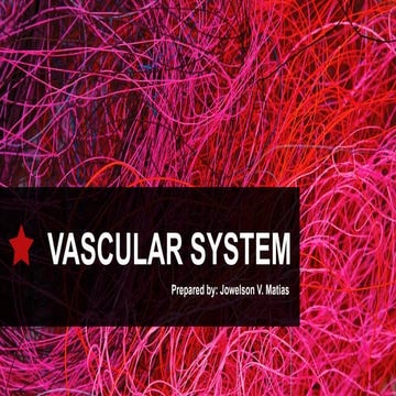 ****BIOLOGY-VASCULAR-SYSTEM PRESENTATION