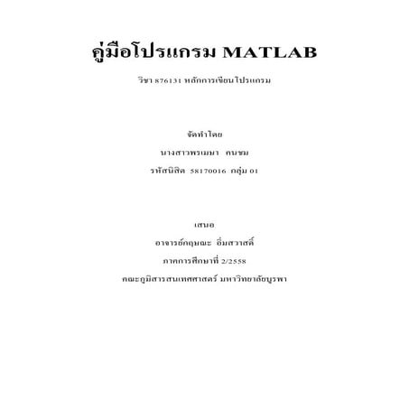 Matlab Pdf