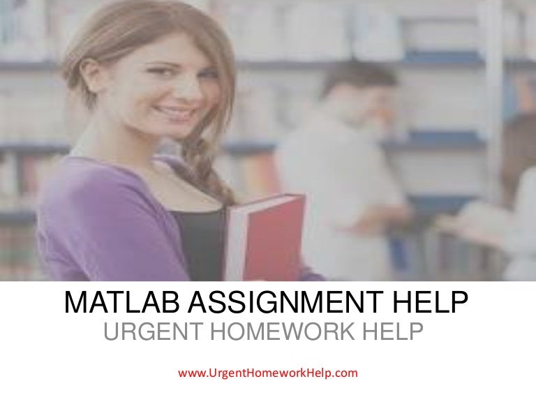 Matlab homework solutions image