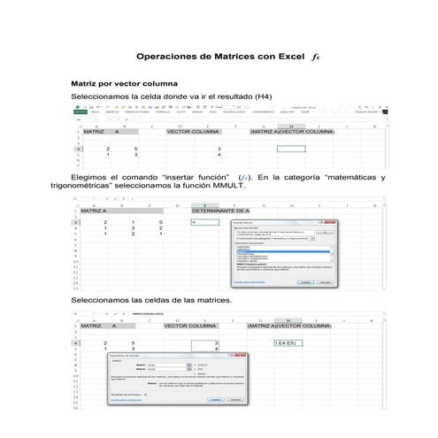 Operacion con matrices en Excel | PDF
