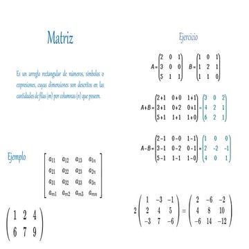 Matrices, determinante, inversa y adjunta. | PDF