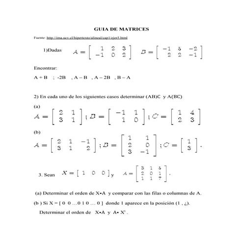 Ficha 4 radicales | PDF