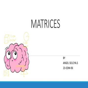 MATRICES_STANDARD11_AngelselciyaB.ed.pptx