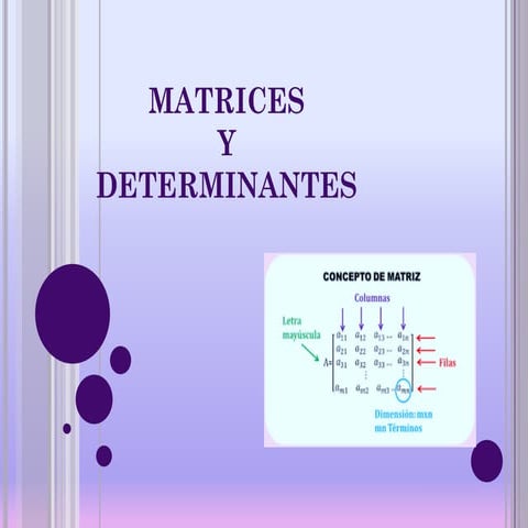 matrices y determinantes matemáticas para la informática