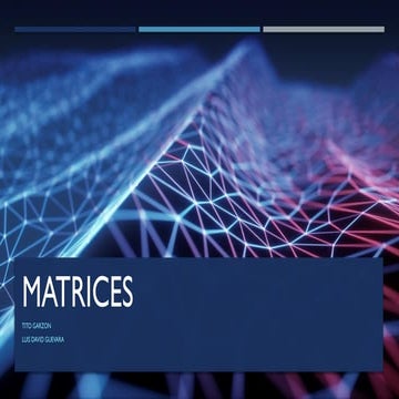 Introducción a Matrices y Panorama Competitivo en Comunicaciones ...