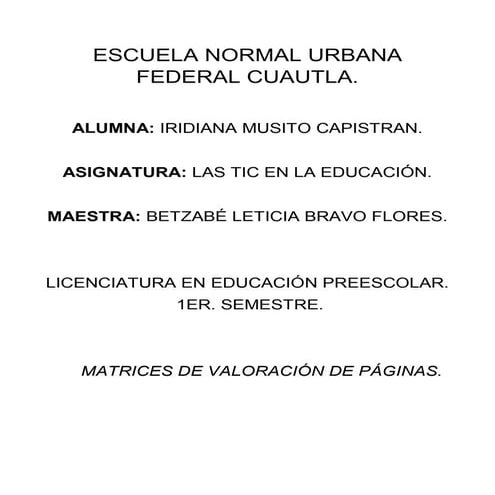 Matrices de valoración de páginas.