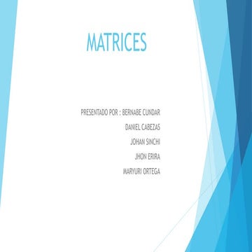 MATRICES EXPO.pptx