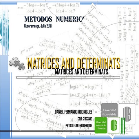 Matrices and determinats