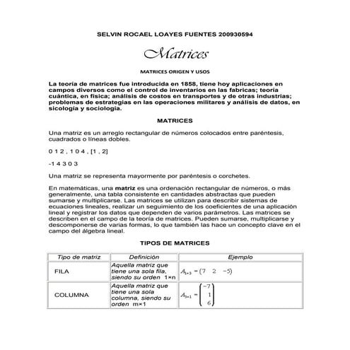 Matrices y conclusiones