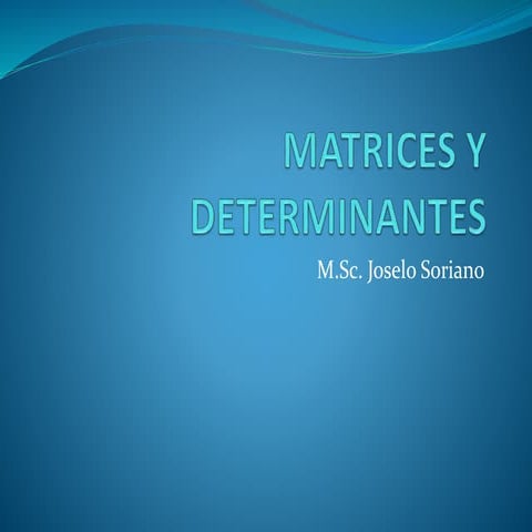 Matrices y determinantes