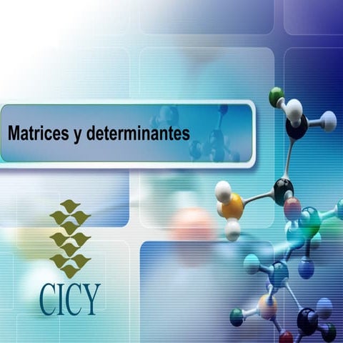 Comprehensive Guide to Matrices, Determinants, and Linear Systems | PPTX