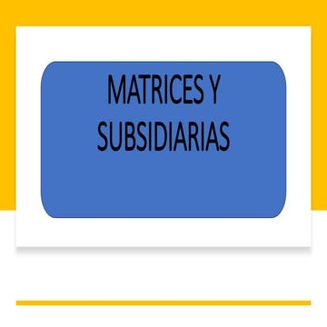 MATRICES Y SUBSIDIARIAS para casos de presentacion.pptx