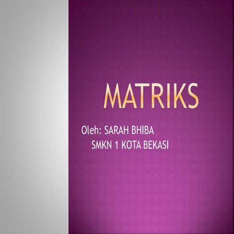 Matriks 