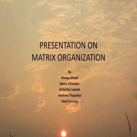 Matrix organization