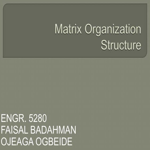 Matrix organization structure project final,fab 1