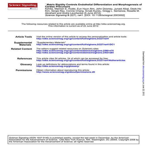 Matrix rigidity controls endothelial differentiation and morphogenesis of car...