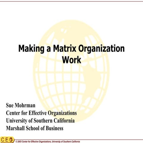 Matrix teams & organizations mohrman