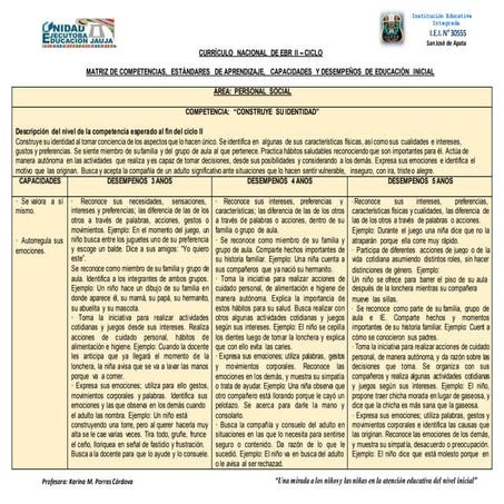 Matrizdecompetenciascnebriicicloinicial 