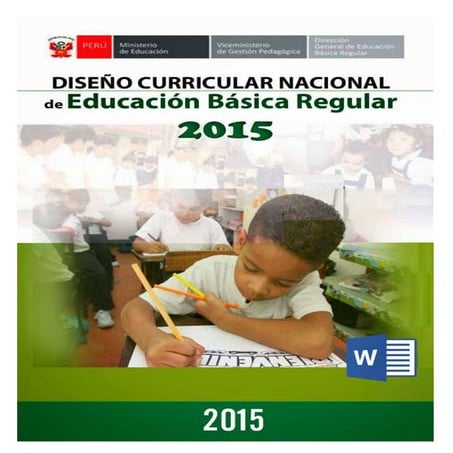 DCN-2015 Matriz de competencias y capacidades ok listo
