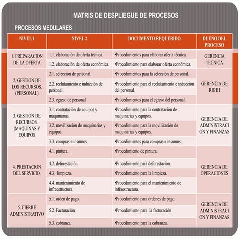 Matriz de despliegue de procesos. | PPTX