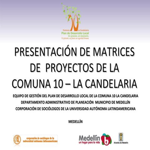 Matriz  de proyecto