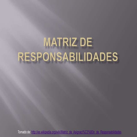 Matriz de responsabilidades