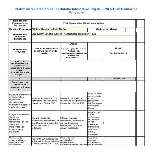 Matriz de valoración del portafolio interactivo digital y pares