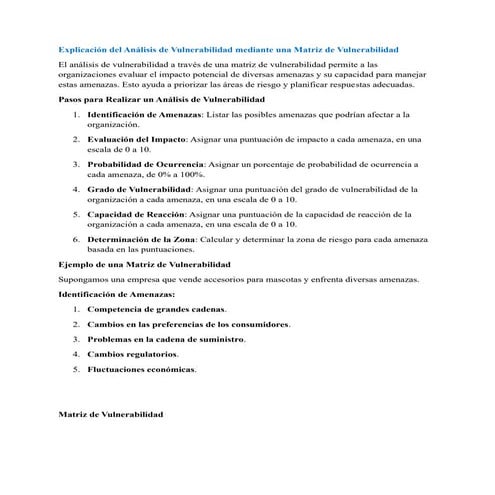 Explicación del Análisis de Vulnerabilidad mediante una Matriz de Vulnerabilidad