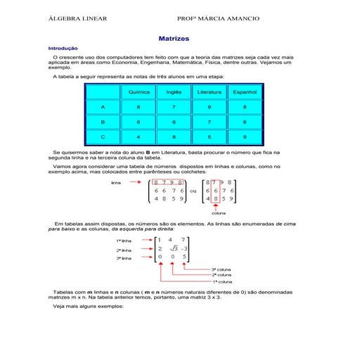 Matriz sistema-linear-e-determinante | PDF