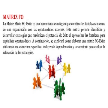 EVALUACIÓN DEL FODA PARA LA FORMULACIÓN DE ESTRATEGIAS - MATRIZ FO