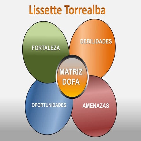 Matriz DOFA lissette