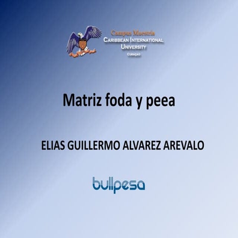 Matriz foda y peea