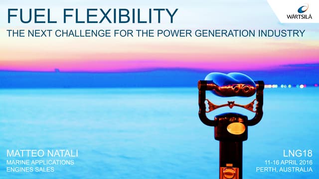 Fuel Flexibility - The Next Challen...