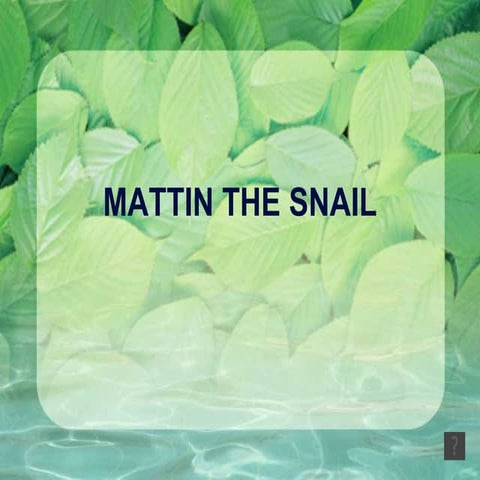 Mattin the snail