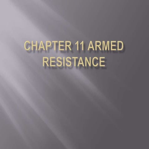 Chapter 11 - Armed Resistance