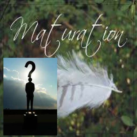 Maturation(Psychology)