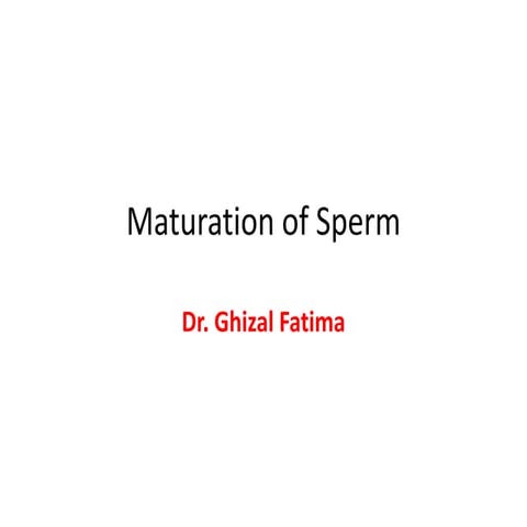 Maturation of sperm