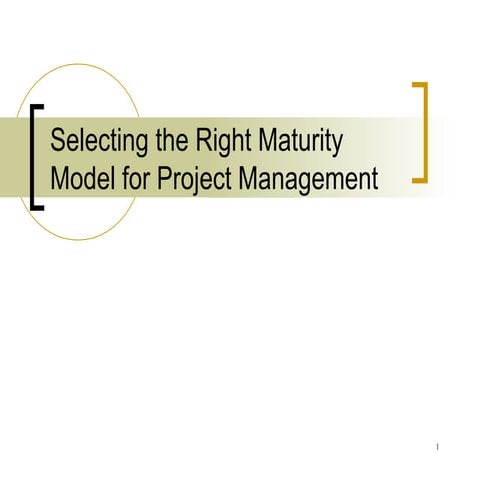 Maturity Models