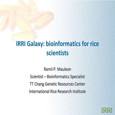 Ramil Mauleon: IRRI GALAXY: bioinformatics for rice scientists