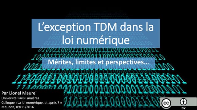 L'exception TDM dans la loi numérique : mérites, limites et perspectives